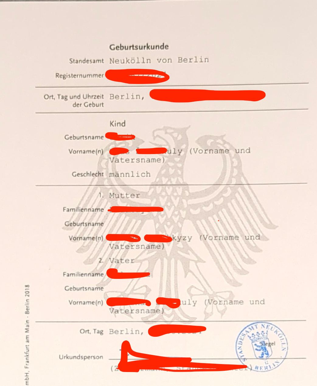 Туу туралы куәлік үлгісінің суреті